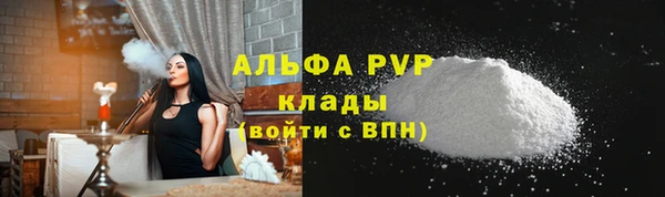 прущий лед Богданович