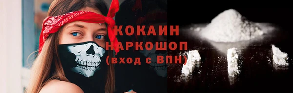прущий лед Богданович