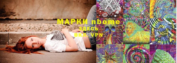 прущий лед Богданович