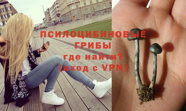 MDMA Premium VHQ Богородицк