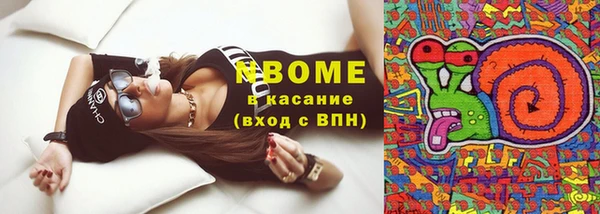 прущий лед Богданович