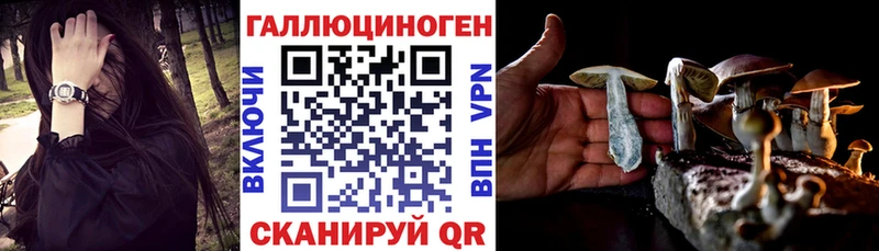 Галлюциногенные грибы Psilocybine cubensis  где купить наркоту  Петропавловск-Камчатский 